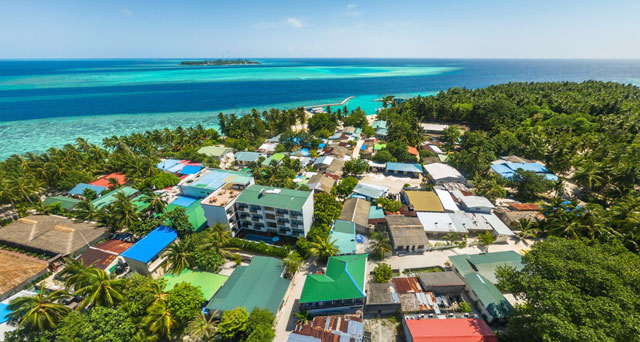 Plumeria Maldives